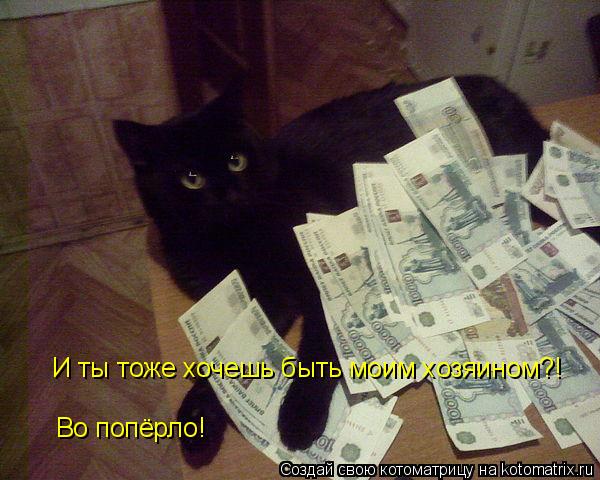 Котоматрица: И ты тоже хочешь быть моим хозяином?! Во попёрло!