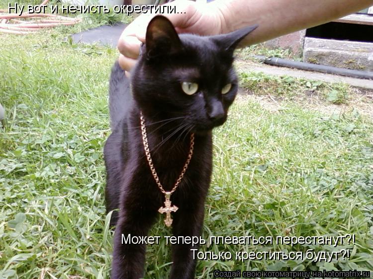 Котоматрица: Ну вот и нечисть окрестили... Может теперь плеваться перестанут?! Только креститься будут?!