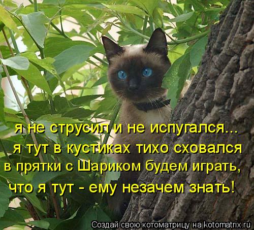 Саакашвили недоволен обсуждением в СМИ его фото «в кустах» на инаугурации Трампа - Ведомости