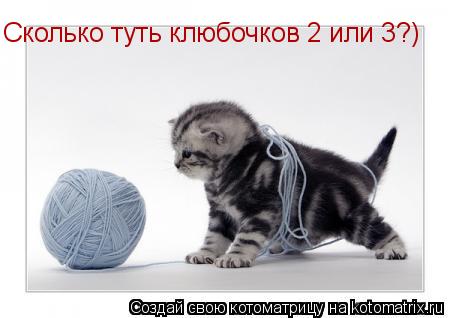 Котоматрица: Сколько туть клюбочков 2 или 3?)