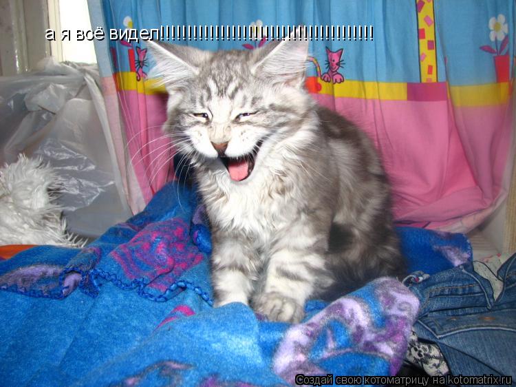 Котоматрица: а я всё видел!!!!!!!!!!!!!!!!!!!!!!!!!!!!!!!!!!!!!!!