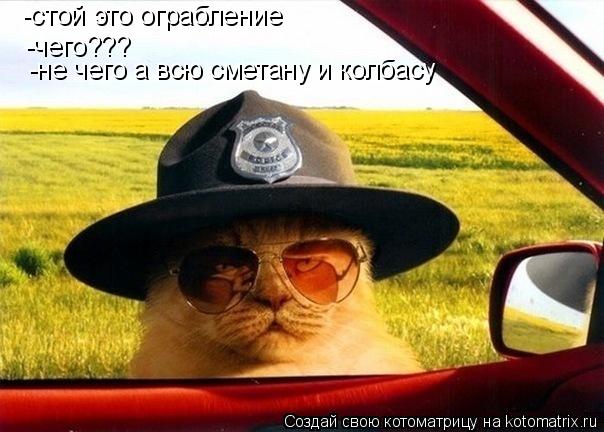 Котоматрица: -стой это ограбление -чего??? -не чего а всю сметану и колбасу