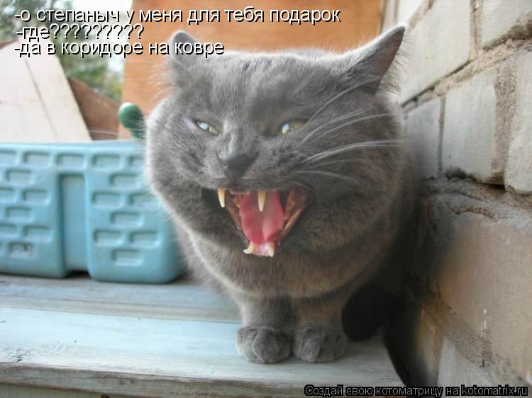 Котоматрица: -о степаныч у меня для тебя подарок -где????????? -да в коридоре на ковре