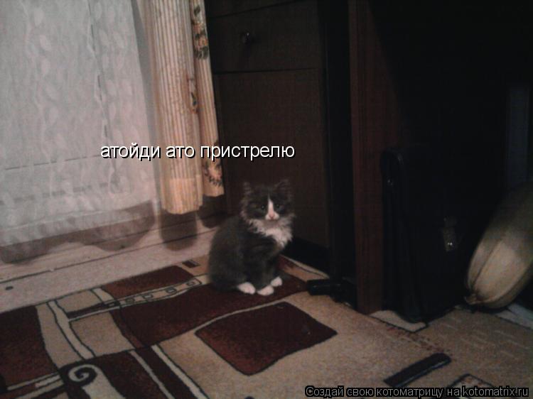 Котоматрица: атойди ато пристрелю