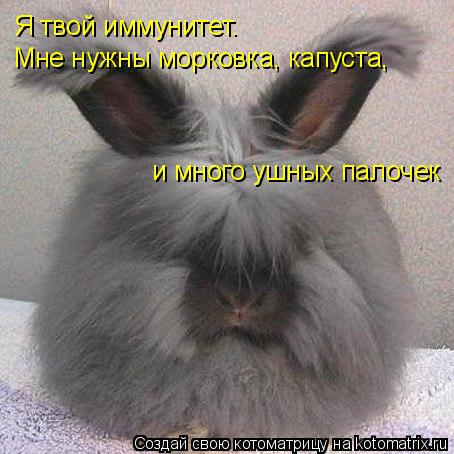 Котоматрица: Я твой иммунитет. Мне нужны морковка, капуста,  и много ушных палочек