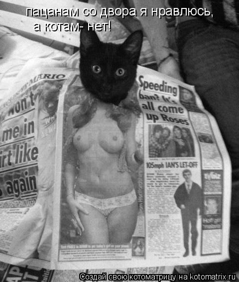 Котоматрица: пацанам со двора я нравлюсь,    а котам- нет!
