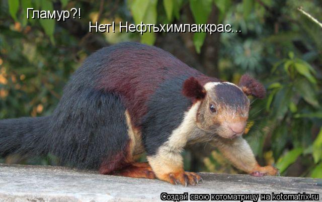 Котоматрица: Гламур?! Нет! Нефтьхимлаккрас...