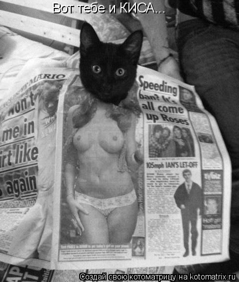 Котоматрица: Вот тебе и КИСА...