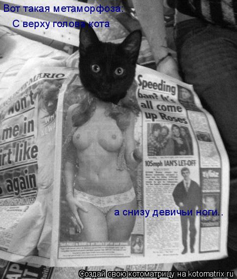 Котоматрица: С верху голова кота С верху голова кота а снизу девичьи ноги.. Вот такая метаморфоза: