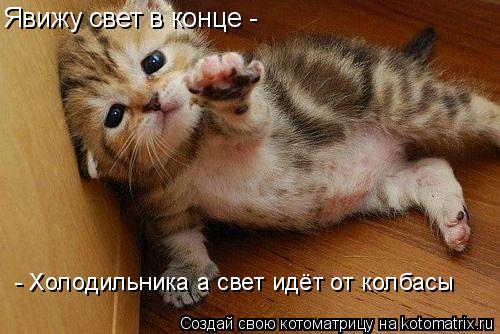 Котоматрица: Явижу свет в конце - - Холодильника а свет идёт от колбасы