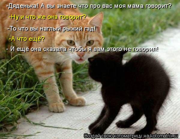 Котоматрица: -Дяденька! А вы знаете что про вас моя мама говорит? -Ну и что же она говорит? -То что вы наглый рыжий гад! -А что ещё? - И ещё она сказала чтобы я 