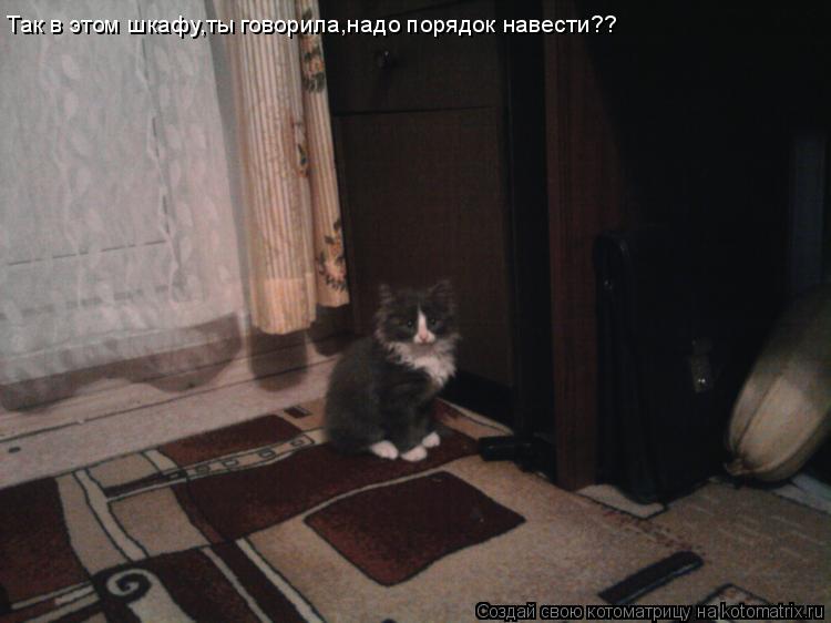 Котоматрица: Так в этом шкафу,ты говорила,надо порядок навести??