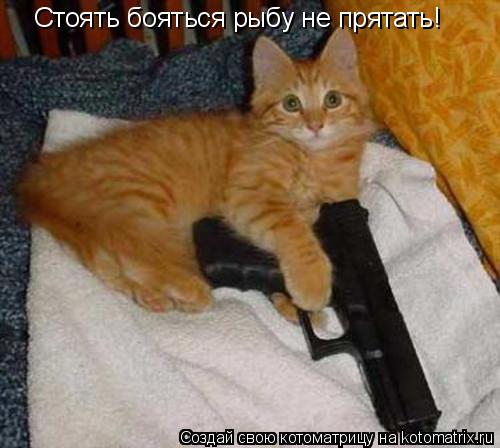Котоматрица: Стоять бояться рыбу не прятать!