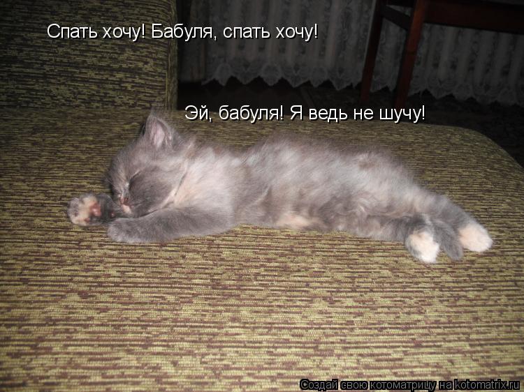 Котоматрица: Спать хочу! Бабуля, спать хочу! Эй, бабуля! Я ведь не шучу!