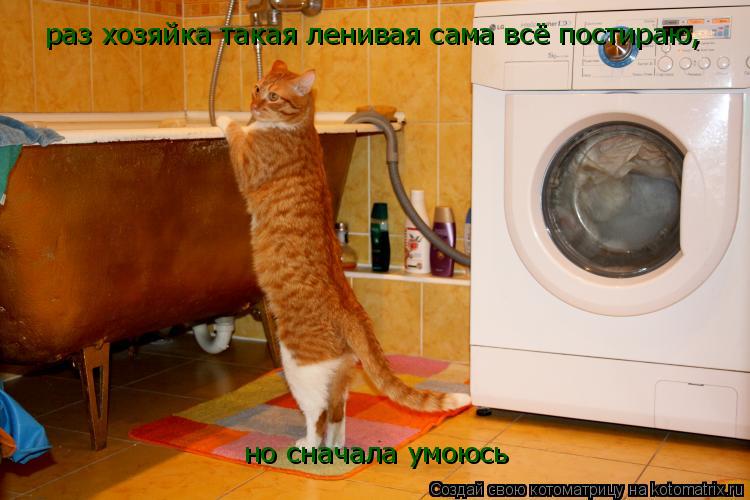 Котоматрица: раз хозяйка такая ленивая сама всё постираю, но сначала умоюсь
