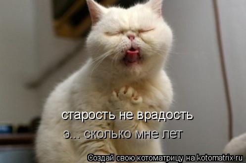 Котоматрица: старость не врадость э... сколько мне лет