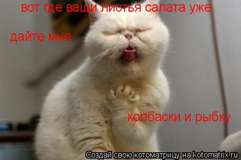 Котоматрица: вот где ваши листья салата уже дайте мне колбаски и рыбку