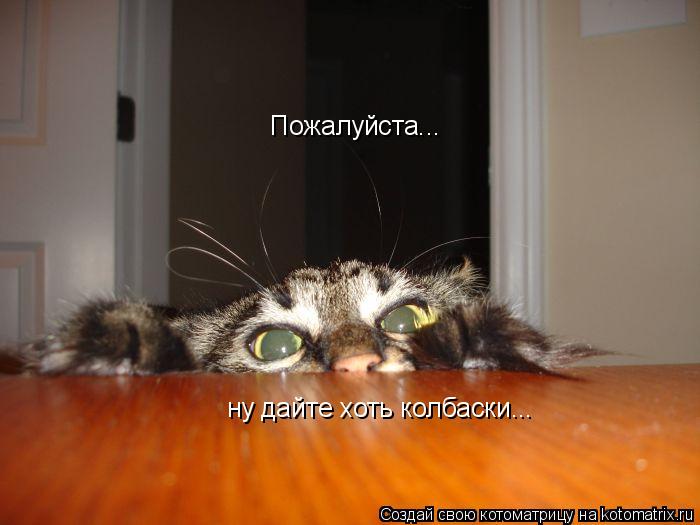 Котоматрица: Пожалуйста... ну дайте хоть колбаски...