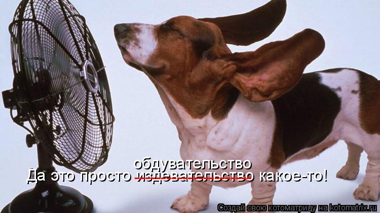 Котоматрица: Да это просто издевательство какое-то! ---------------------- обдувательство