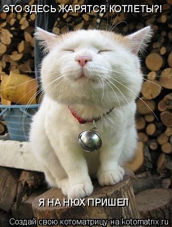 Котоматрица: ЭТО ЗДЕСЬ ЖАРЯТСЯ КОТЛЕТЫ?! Я НА НЮХ ПРИШЕЛ