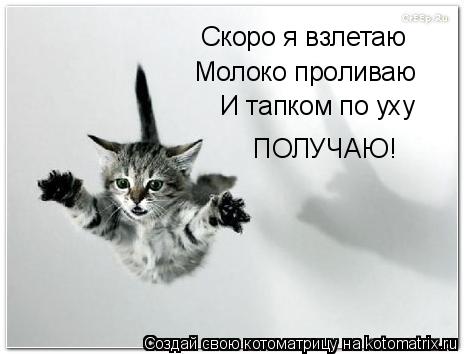 Котоматрица: Скоро я взлетаю Молоко проливаю И тапком по уху ПОЛУЧАЮ!