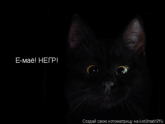 Котоматрица: Е-маё! НЕГР!
