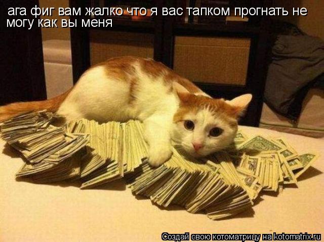 Котоматрица: ага фиг вам жалко что я вас тапком прогнать не могу как вы меня
