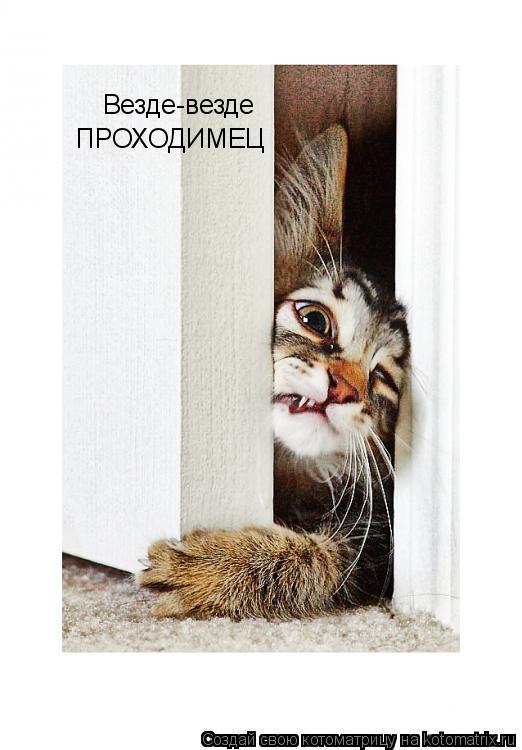 Котоматрица: Везде-везде ПРОХОДИМЕЦ