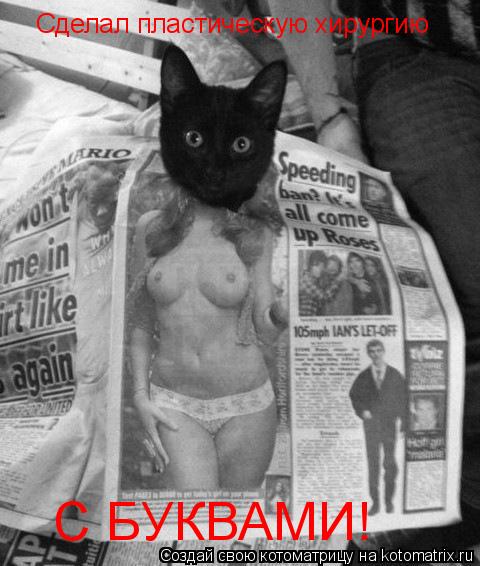 Котоматрица: Сделал пластическую хирургию С БУКВАМИ!