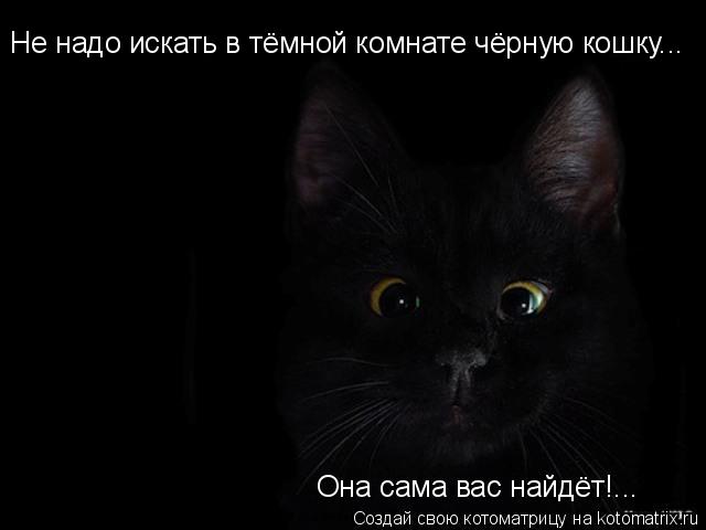 Котоматрица: Не надо искать в тёмной комнате чёрную кошку... Она сама вас найдёт!...