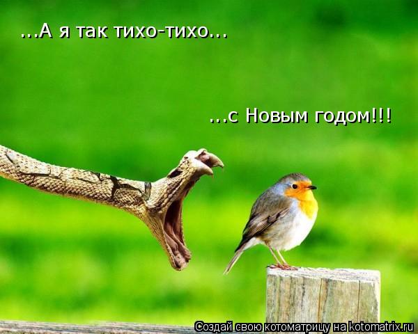 Котоматрица: ...А я так тихо-тихо ...А я так тихо-тихо... ...с Новым годом!!!