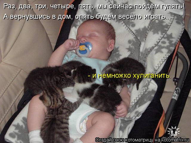 Котоматрица: Раз, два, три, четыре, пять, мы сейчас пойдём гулять! - и немножко хулиганить. А вернувшись в дом, опять будем весело играть...