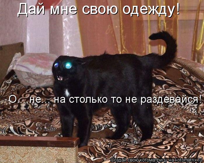Котоматрица: Дай мне свою одежду! О...,не.., на столько то не раздевайся!