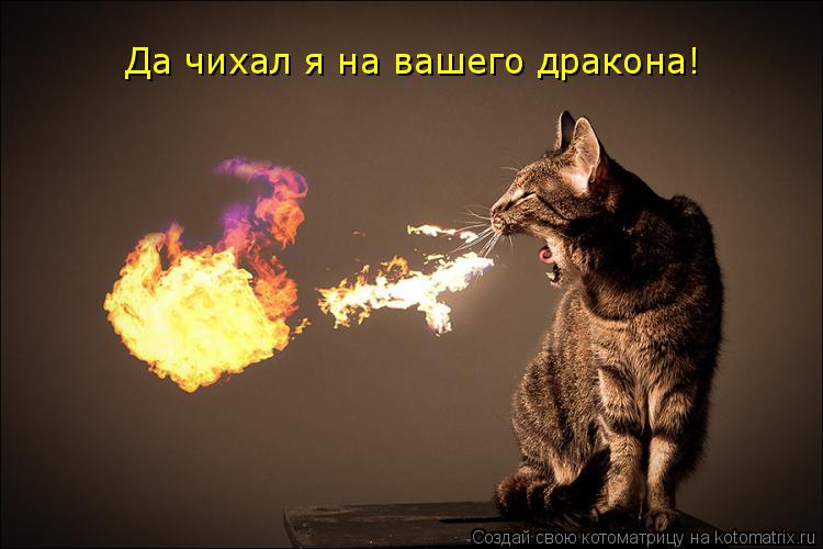 Котоматрица: Да чихал я на вашего дракона!
