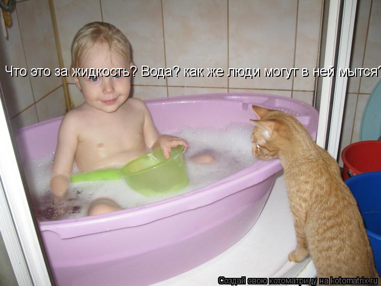 Котоматрица: Что это за жидкость? Вода? как же люди могут в ней мытся?