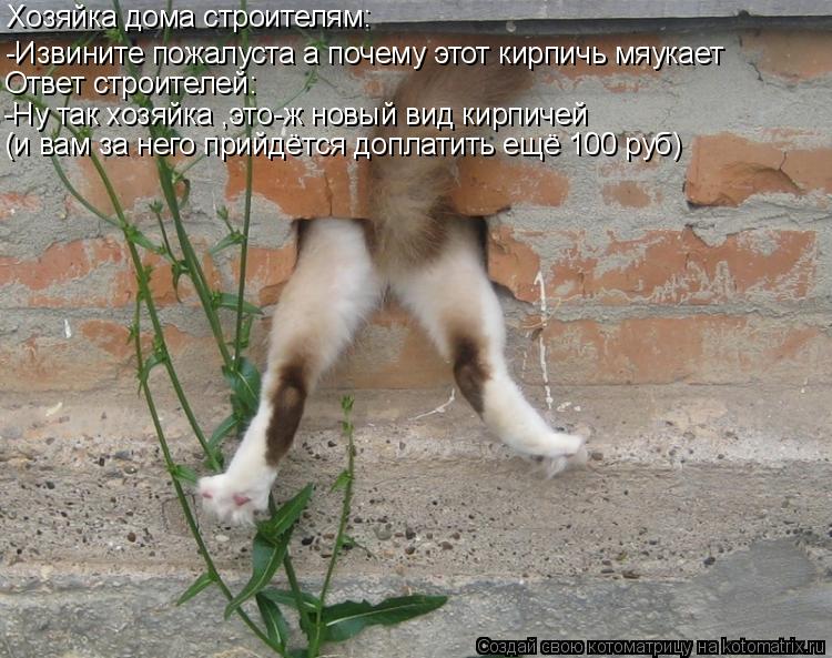 Котоматрица: Хозяйка дома строителям: -Извините пожалуста а почему этот кирпичь мяукает Ответ строителей: -Ну так хозяйка ,это-ж новый вид кирпичей (и вам