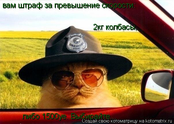 Котоматрица: вам штраф за превышение скорости: 2кг колбасы,  либо 1500уе. Выбирайте...
