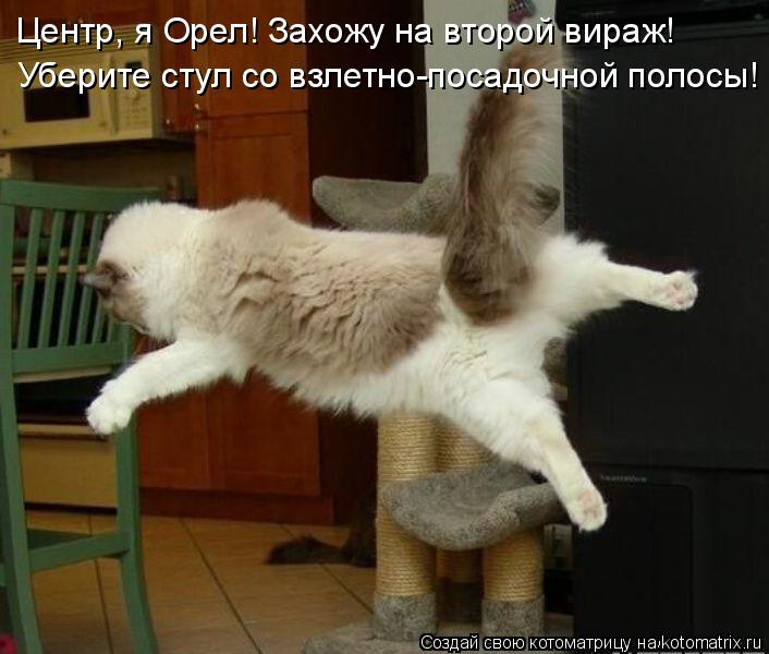 Котоматрица: Центр, я Орел! Захожу на второй вираж! Уберите стул со взлетно-посадочной полосы!