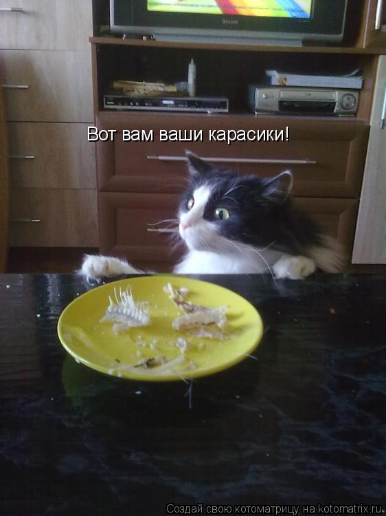 Котоматрица: Вот вам ваши карасики!