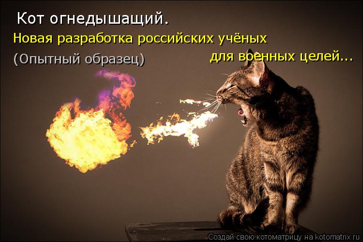 Котоматрица: Кот огнедышащий. Новая разработка российских учёных  для военных целей...  (Опытный образец)