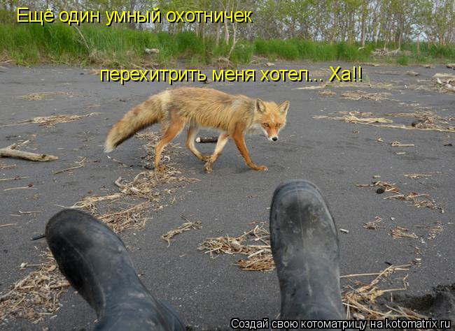 Котоматрица: Ещё один умный охотничек перехитрить меня хотел... Ха!!