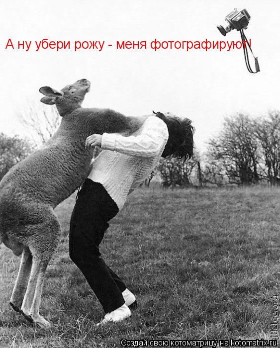 Котоматрица: А ну убери рожу - меня фотографируют!