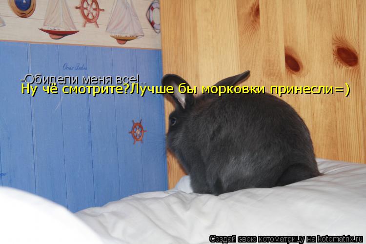 Котоматрица: -Обидели меня все!.. Ну чё смотрите?Лучше бы морковки принесли=)