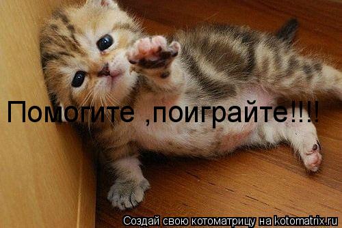 Котоматрица: Помогите ,поиграйте!!!!