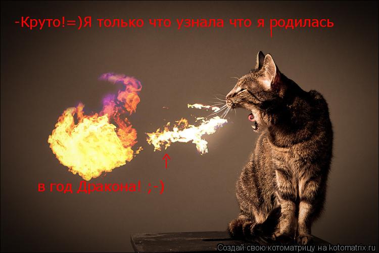 Котоматрица: -Круто!=)Я только что узнала что я родилась  в год Дракона! ;-)  ^ I I