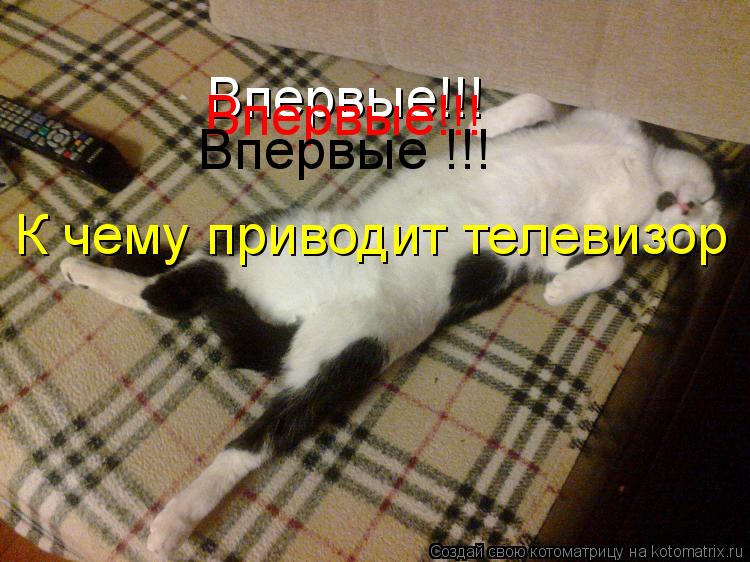 Котоматрица: Впервые!!! Впервые!!! Впервые !!! К чему приводит телевизор