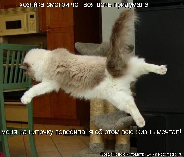 Котоматрица: хозяйка смотри чо твоя дочь придумала меня на ниточку повесила! я об этом всю жизнь мечтал!