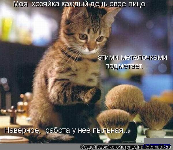Моя хозяйка каждый день свое лицо этими метелочками подметает... Наверное, работа у нее пыльная..... Котоматрица: Моя хозяйка каждый день свое лицо этими метелочками подметает... Наверное, работа у нее пыльная...