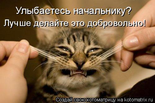 Котоматрица: Лучше делайте это добровольно! Улыбаетесь начальнику?