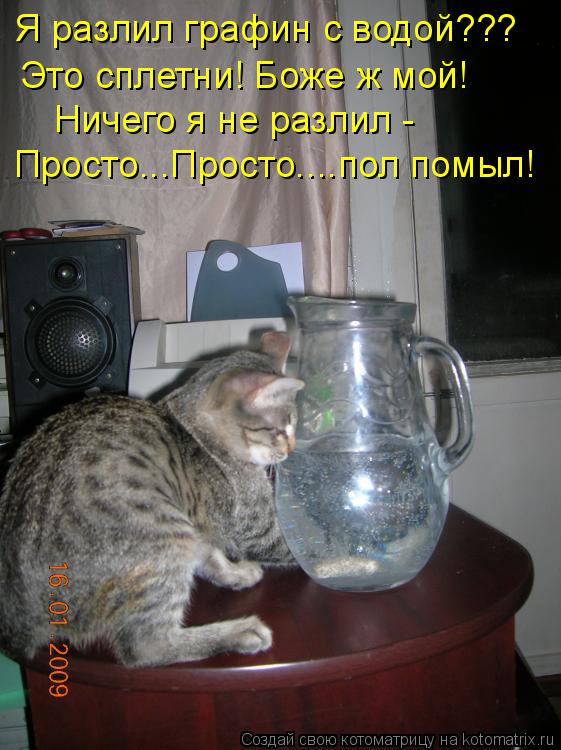 Котоматрица: Я разлил графин с водой???  Это сплетни! Боже ж мой! Ничего я не разлил - Просто...Просто....пол помыл!